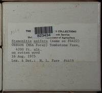 Image Associated With the Occurence